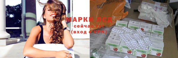 гидра Заводоуковск