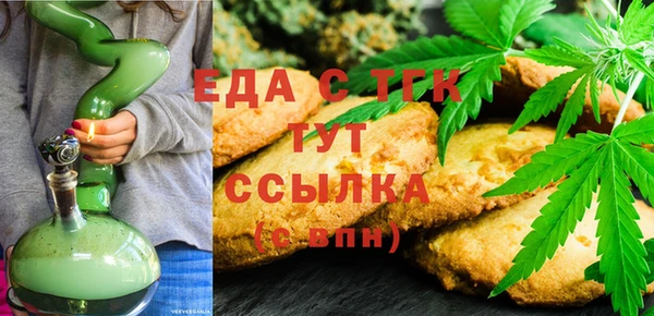 гидра Заводоуковск