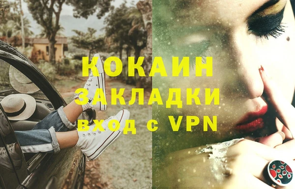 гидра Заводоуковск