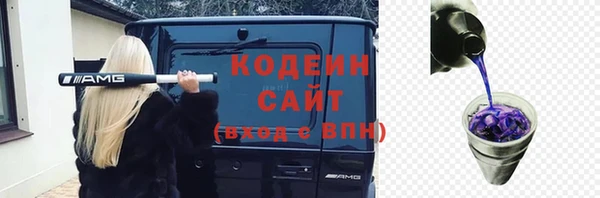 гидра Заводоуковск