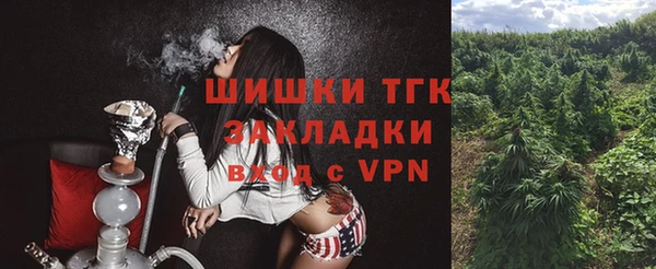 гидра Заводоуковск
